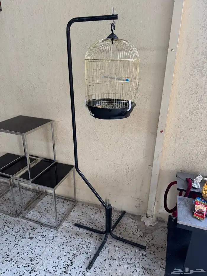 قفص ببغاء للبيع 1