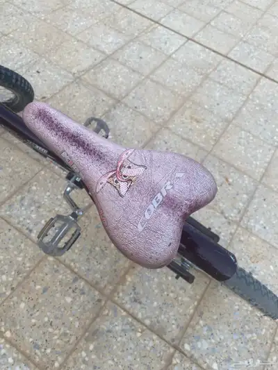 سيكل كوبرا index