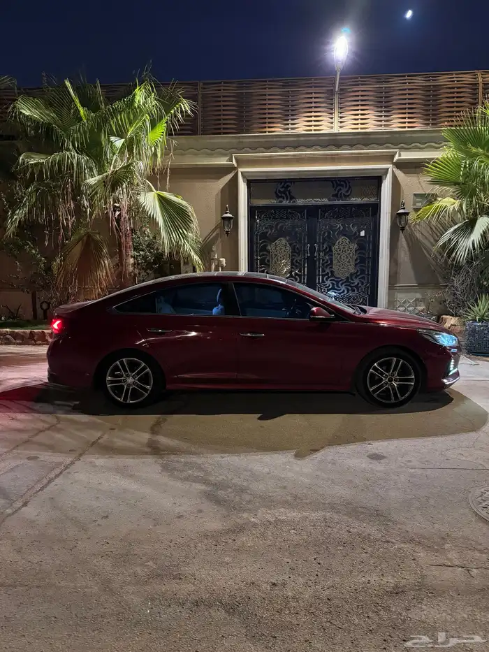 ناقص من الفل بصمه وجلد 2