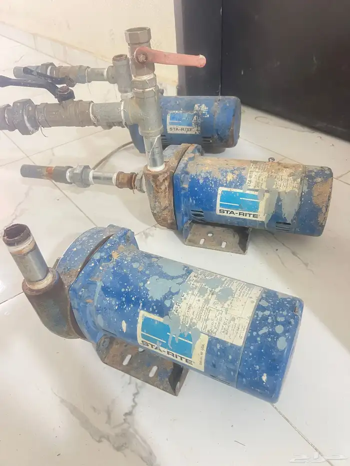 دينمو سمنان وسرير نفرين 2