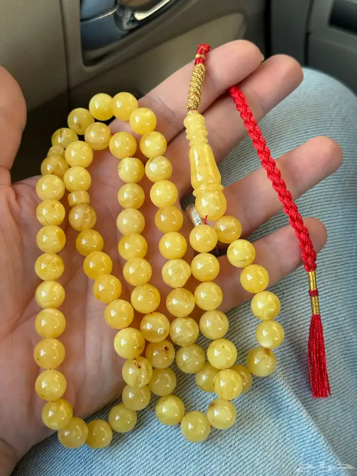 مسباح كهرمان كلنغرادي اقتصادي تم تحديث السعر 1