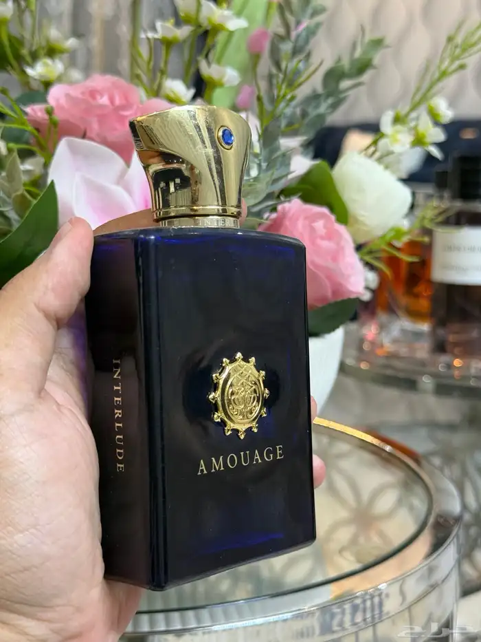 عطور تسترات بأسعار مناسبة 3