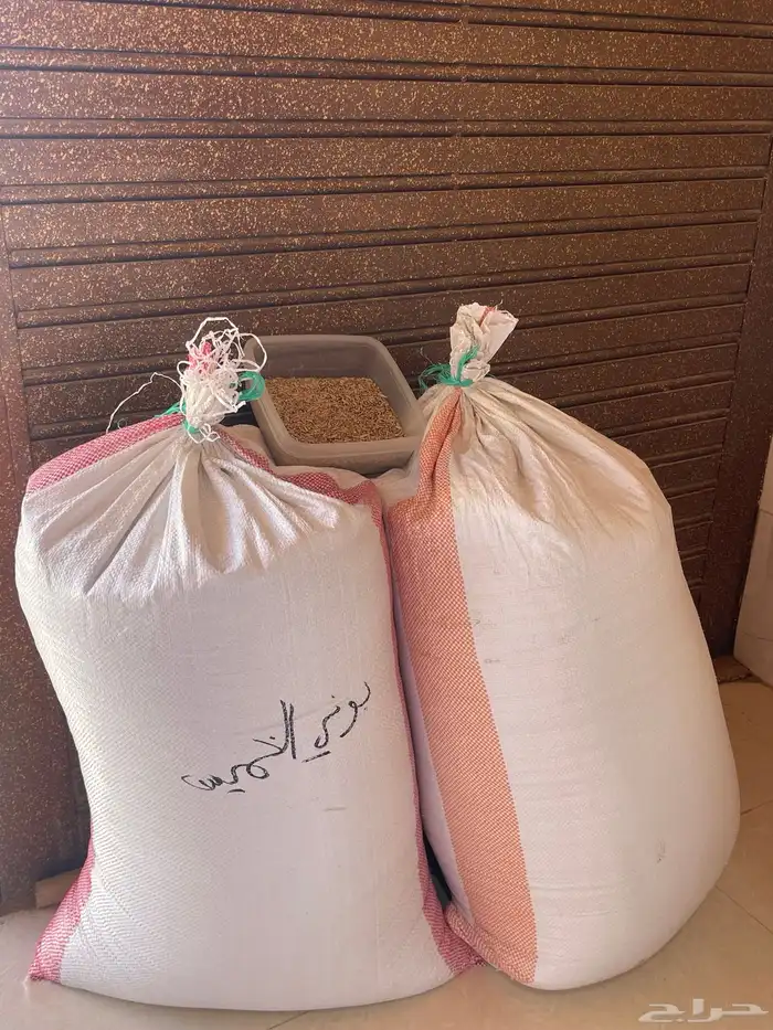 بر للبيع 3
