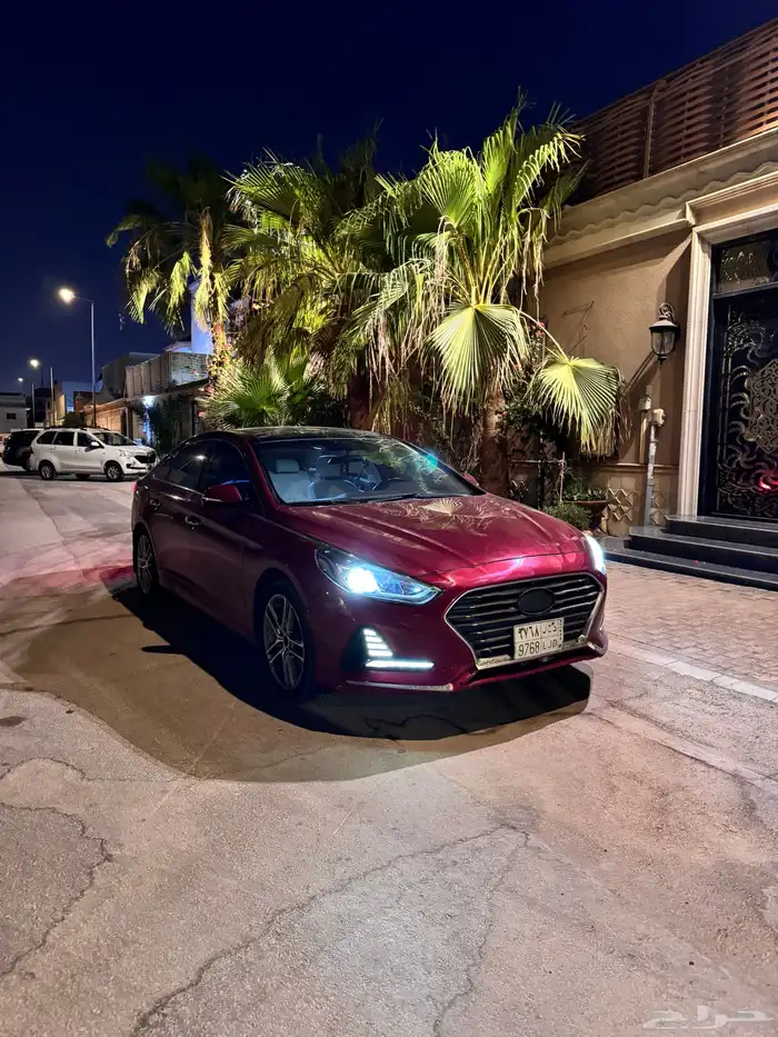 ناقص من الفل بصمه وجلد 0