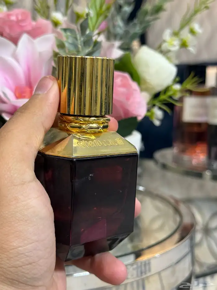 عطور تسترات بأسعار مناسبة 15