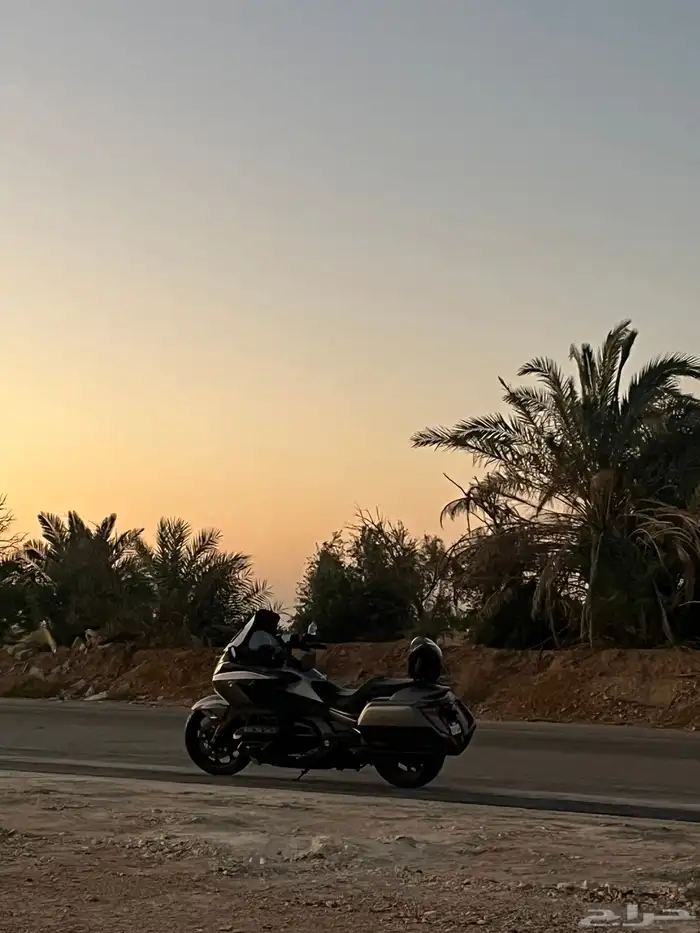 دباب قولد وينق f6b 2018 2