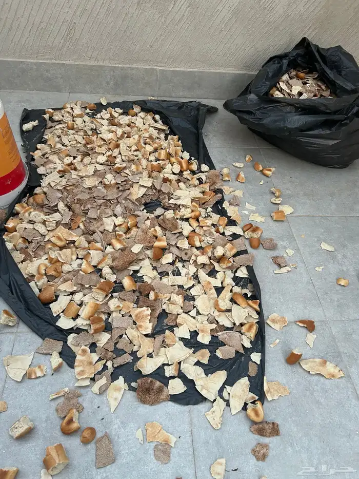 خبز 1