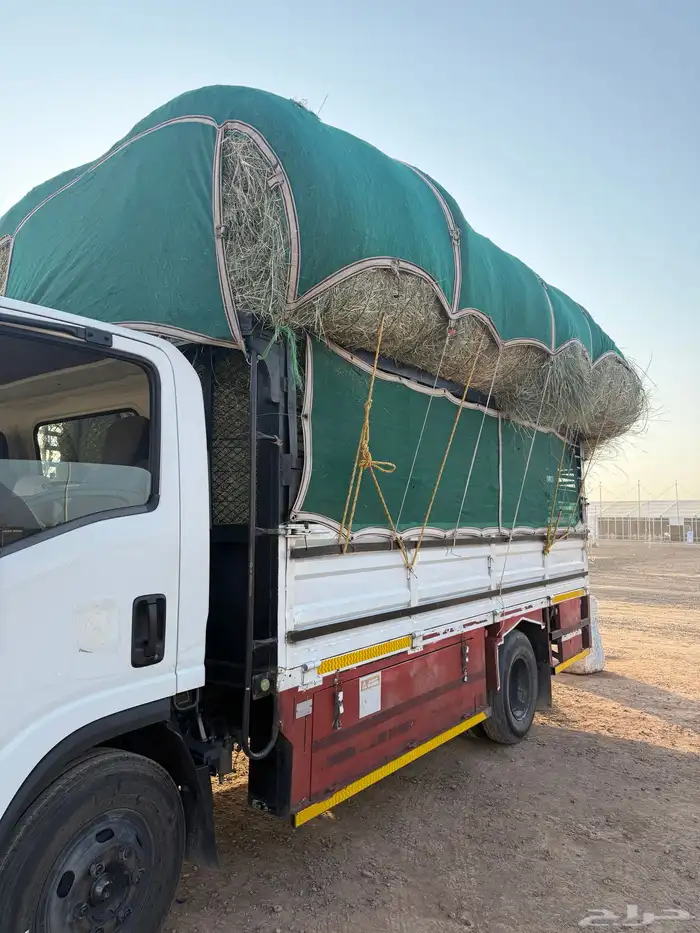 علف لفه رودس 0