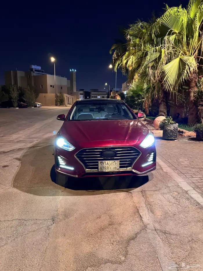 ناقص من الفل بصمه وجلد 1