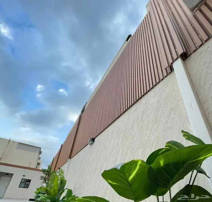 الاحساء 42