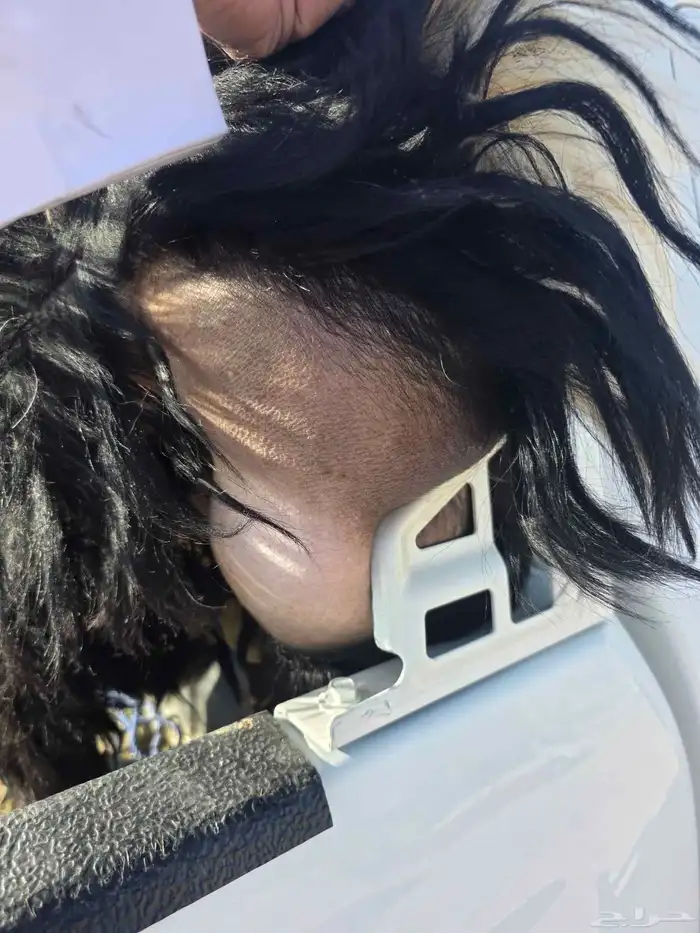 خروف للبيع ابوه نجدي وامه حريه 0