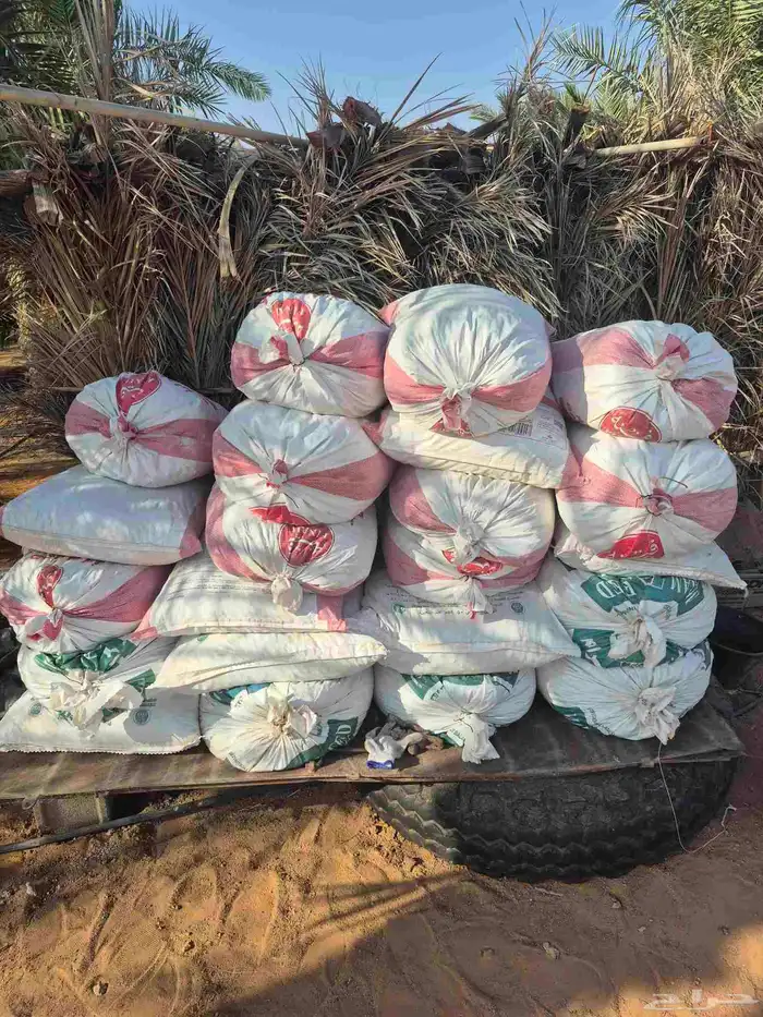 للبيع تمر علف أكثر من 20 كيس وبرسيم غير ملبن وحشايش 2