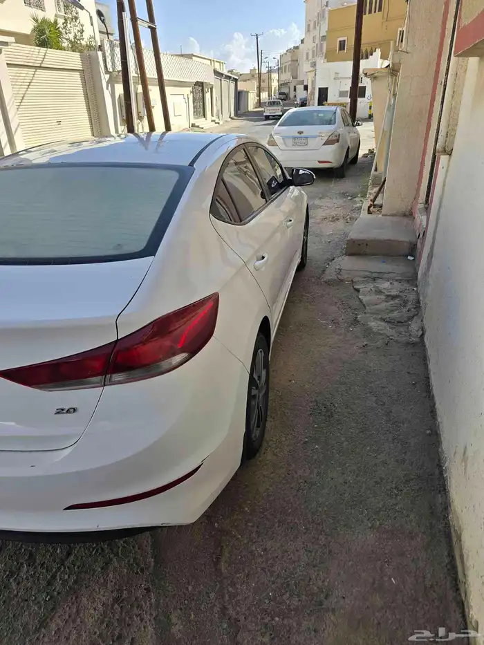 النترا 2018 3