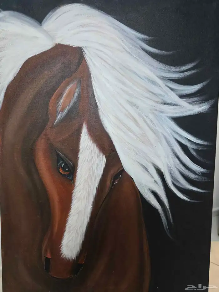 للبيع لوحات رسم يدوي مقاس 50 في 70 10