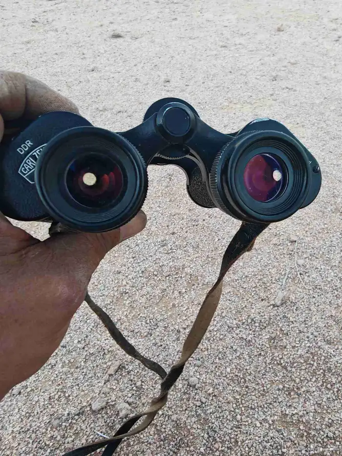 دربيل 9