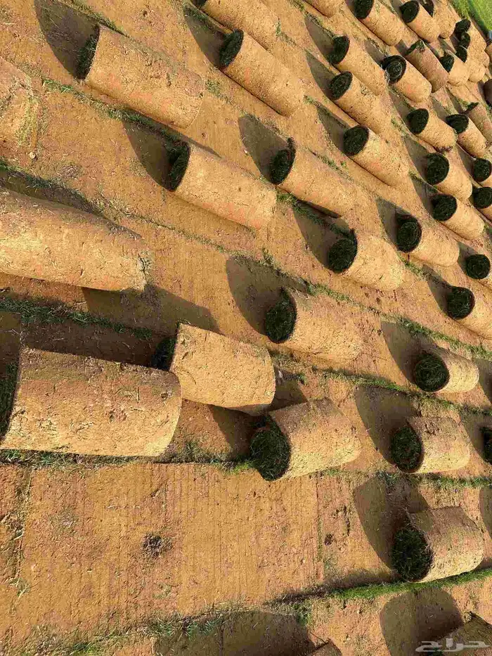 تنسيق حدائق توريد وتركيب الثيل الطبيعي وشبكه الرأي الحديث عا 19