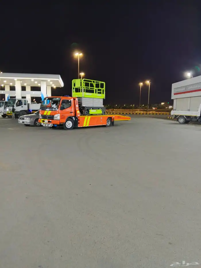 طاوس الطرقات 3