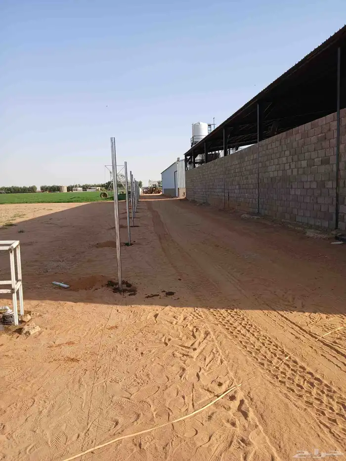 شبوك المزارع واستراحات 7