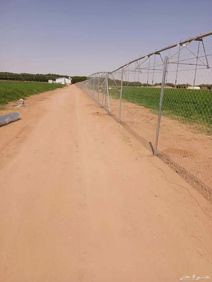 شبوك المزارع واستراحات 6