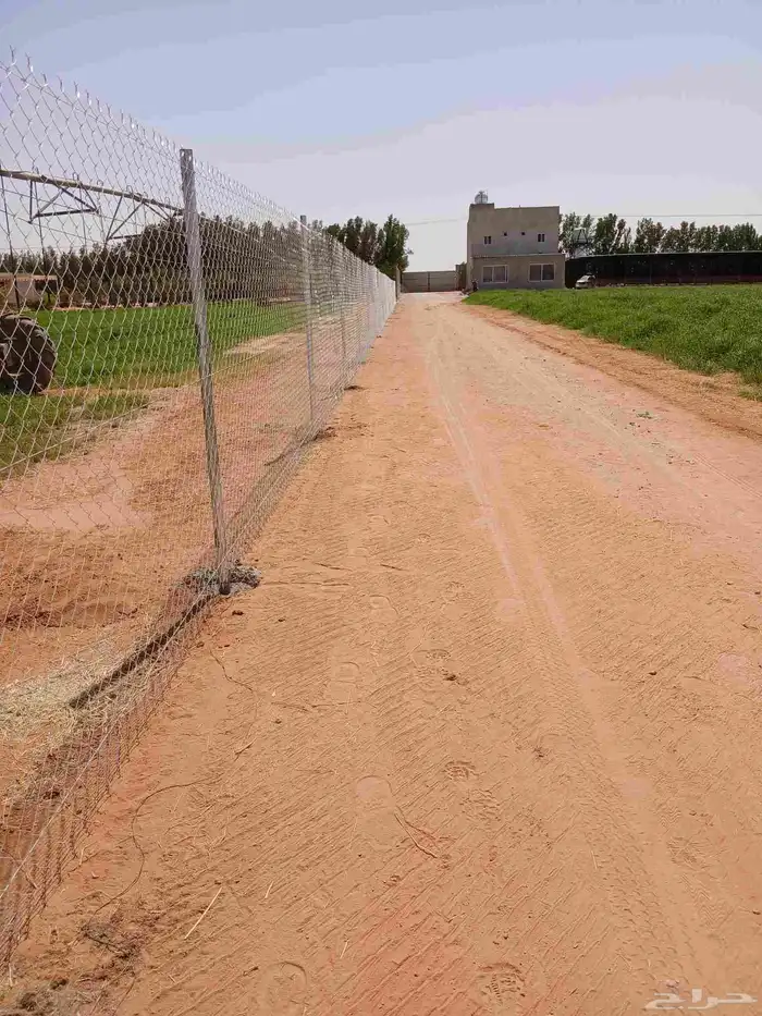 شبوك المزارع واستراحات 5