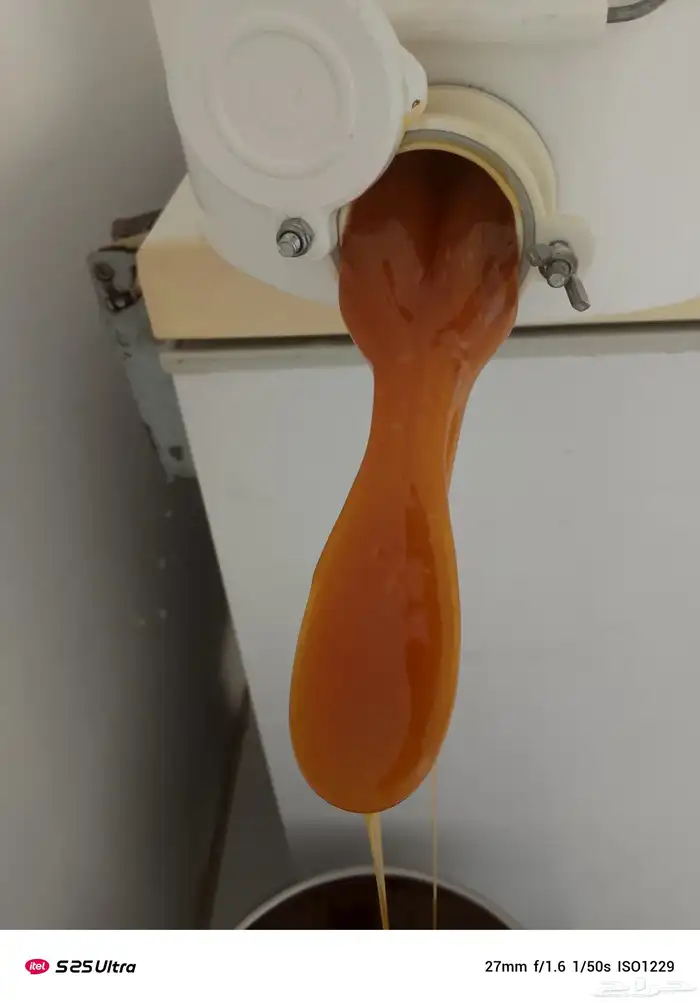 مناحل الجنوب 7