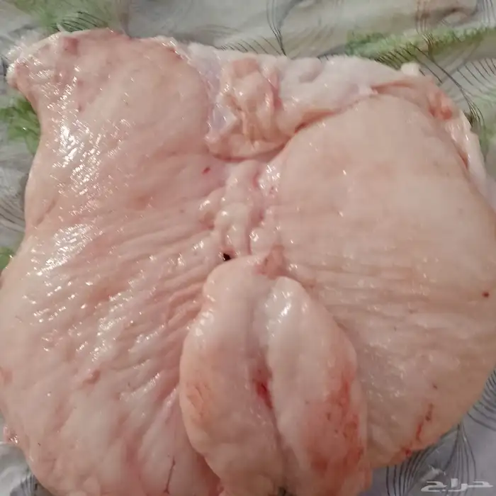 السلام عليكم ورحمه الله متوفر لي للمطاع م لي نعيمي فريش 2