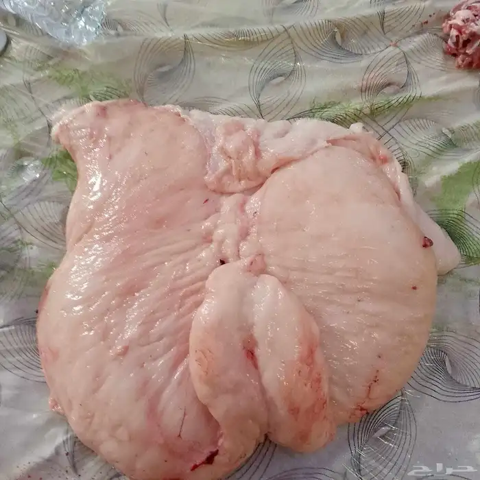 السلام عليكم ورحمه الله متوفر لي للمطاع م لي نعيمي فريش 0