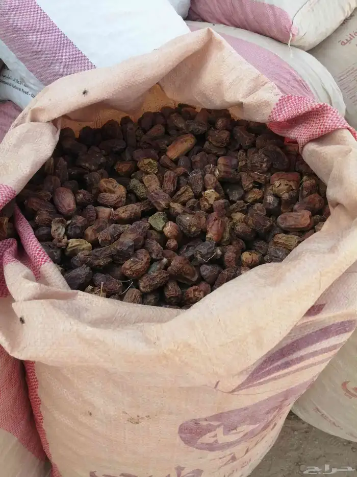 علف تمر للبيع ماشاء الله تبارك الله 4