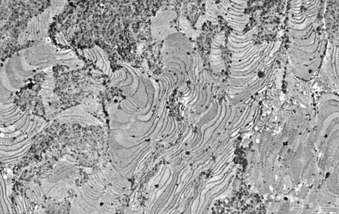 مهندس مدني خبرة 12 سنة محترف نظم معلومات جغرافية gis و 12
