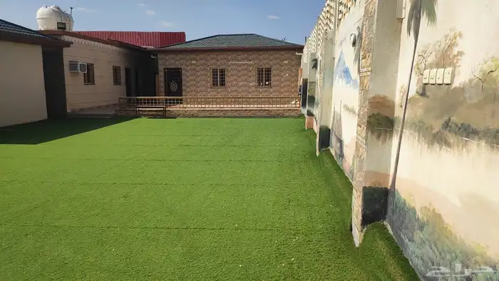 شالهات للبيع بالرميده امام الجامعه الجديده 0