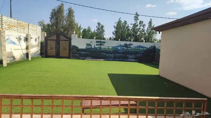 شالهات للبيع بالرميده امام الجامعه الجديده 4