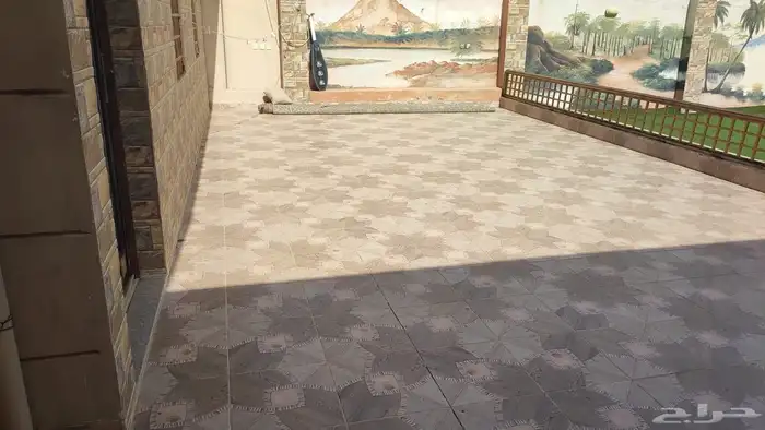 شالهات للبيع بالرميده امام الجامعه الجديده 3