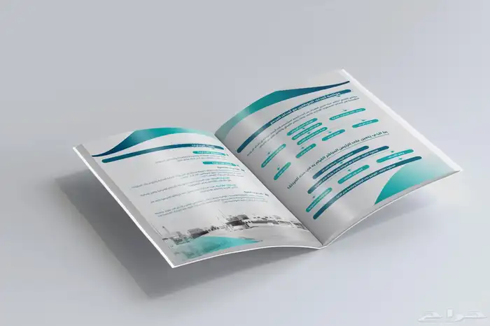 مصمم تقارير سنوية محترف 22