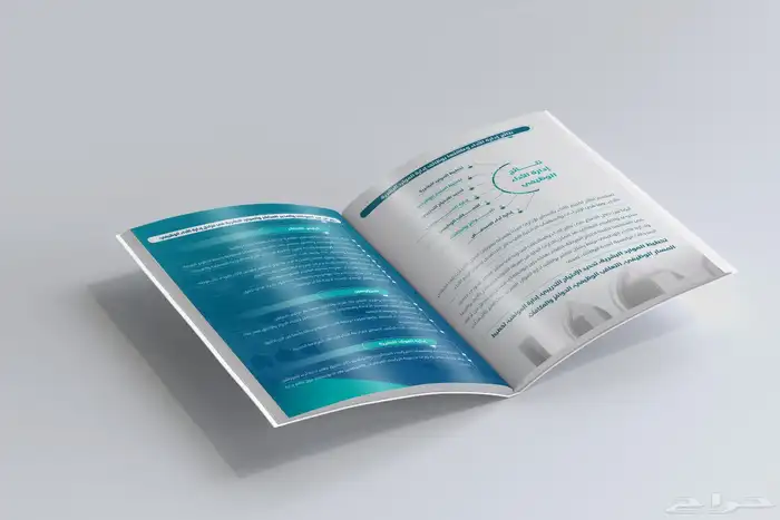 مصمم تقارير سنوية محترف 19