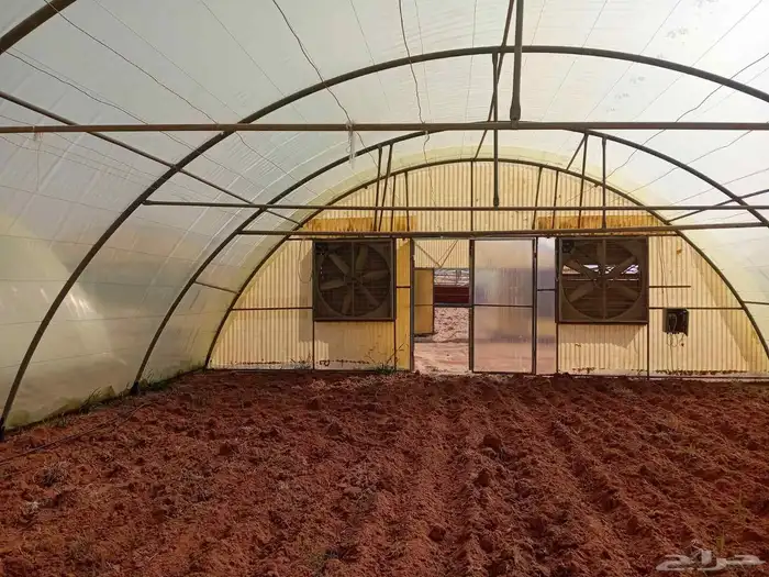 مصطفى عبيد فني فك وتركيب وصينا البيوت المحميه عادي ومكيف 1