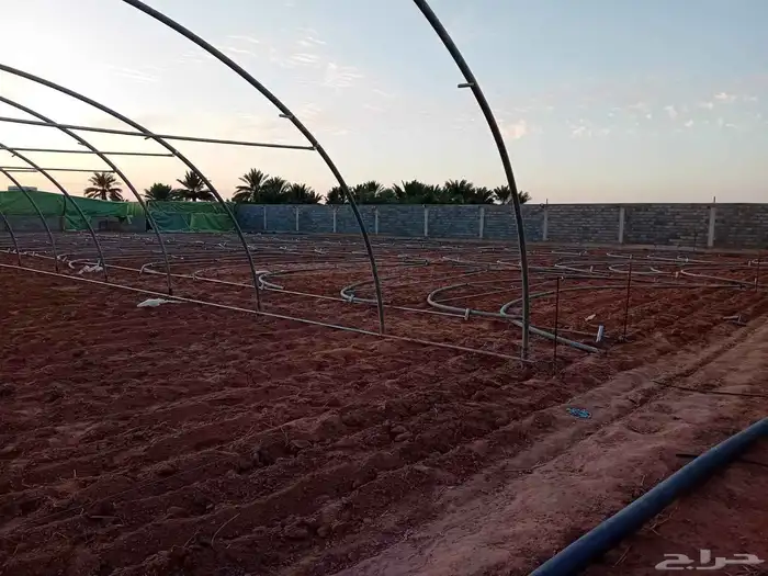 مصطفى عبيد فني فك وتركيب وصينا البيوت المحميه عادي ومكيف 0