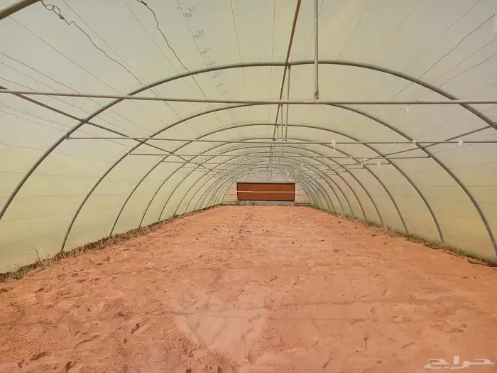 مصطفى عبيد فني فك وتركيب وصينا البيوت المحميه عادي ومكيف 2