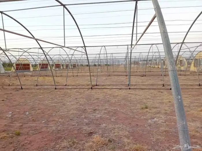 مصطفى عبيد فني فك وتركيب وصينا البيوت المحميه عادي ومكيف 8