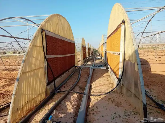 مصطفى عبيد فني فك وتركيب وصينا البيوت المحميه عادي ومكيف 4