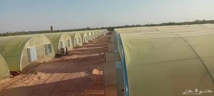 مصطفى عبيد فني فك وتركيب وصينا البيوت المحميه عادي ومكيف 9