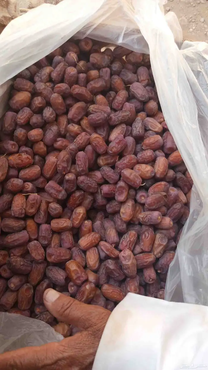 عندنا مشكلات وسعر مناسب 0