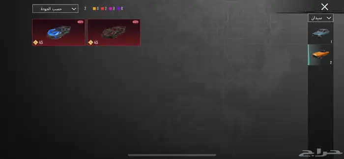 حساب ببجي للبيع 13