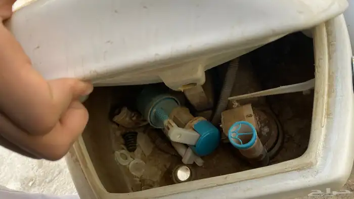 افرنجي للبيع اخو الجديد الكميه 2ب500 3