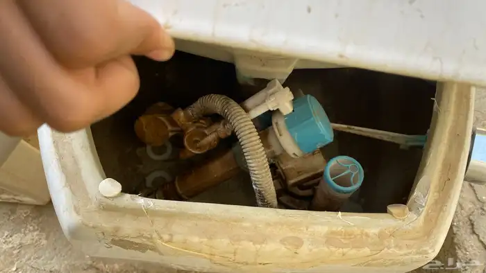 افرنجي للبيع اخو الجديد الكميه 2ب500 4