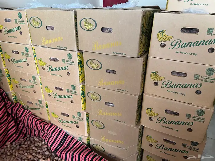 للبيع تمر مزرعه (نعام) 2