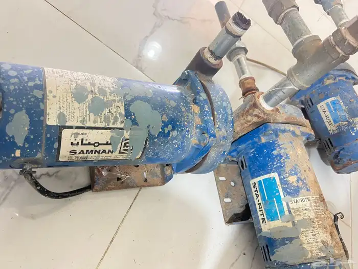 دينمو سمنان وسرير نفرين 0