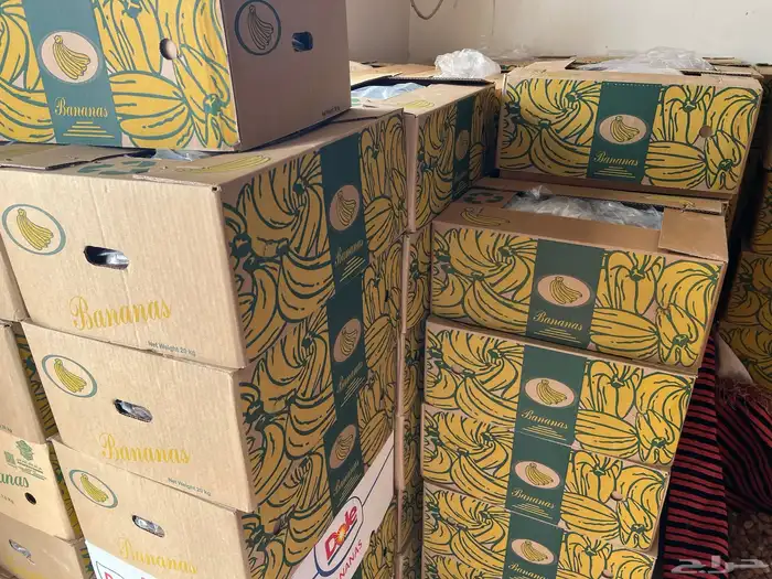 للبيع تمر مزرعه (نعام) 1