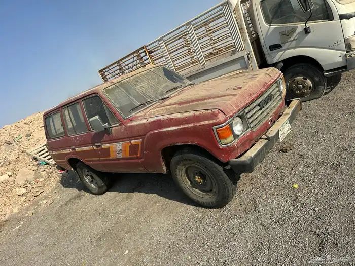 الجيب للبيع عليه لوحه مميزه 6