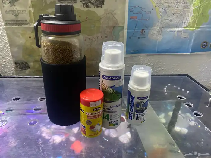 حوض اسماك 4