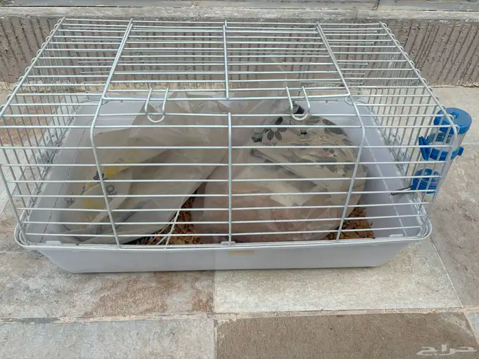 قفص حيوانات 3